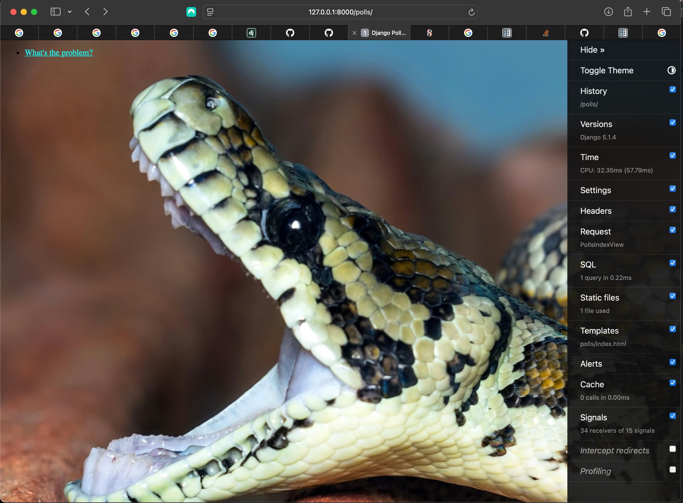 Adding the django debug toolbar