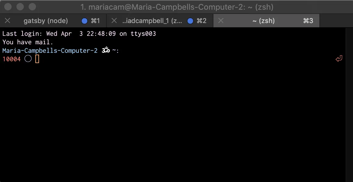 Screenshot of Terminal window