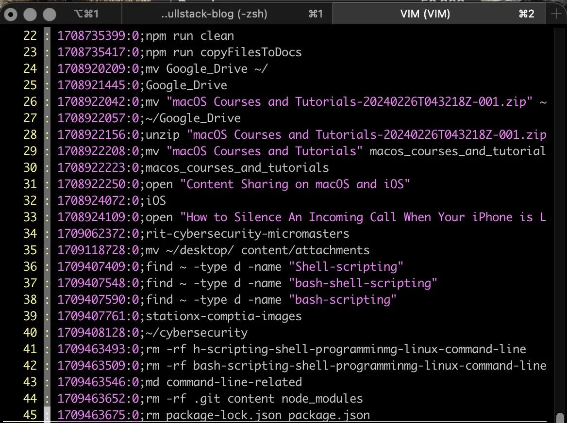 Screenshot of a snapshot of the .zsh_history file