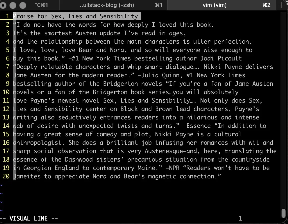 Screenshot of entering visual mode in Vim