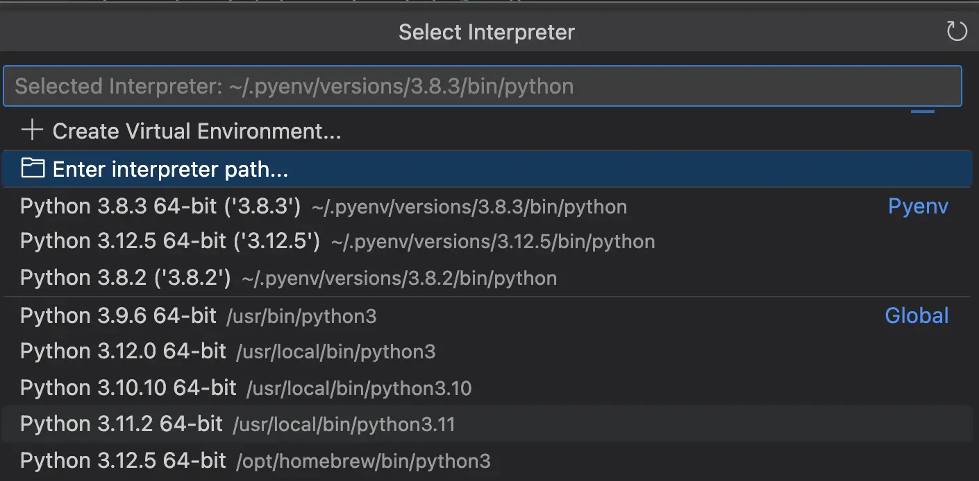 Screenshot of Python interpreters available in Visual Studio Code