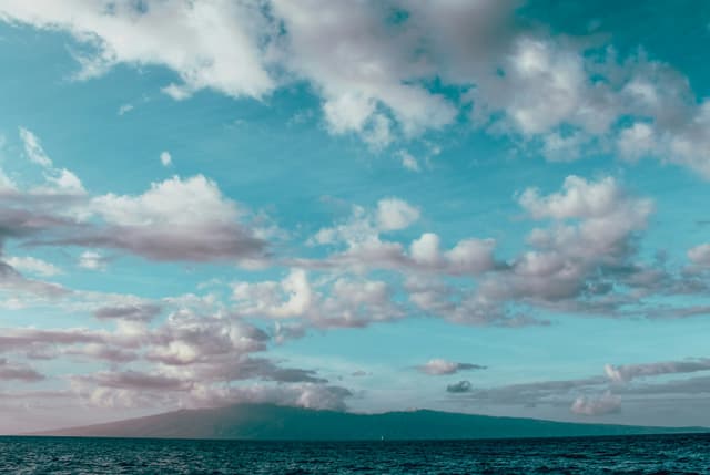 How to create a fullstack application using Django and Python Part 21