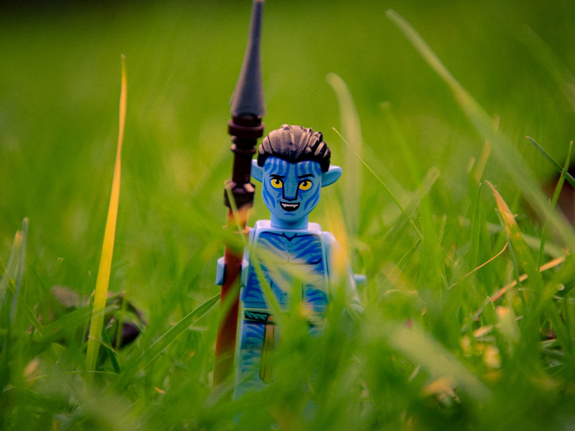 Toy avatar in the grass