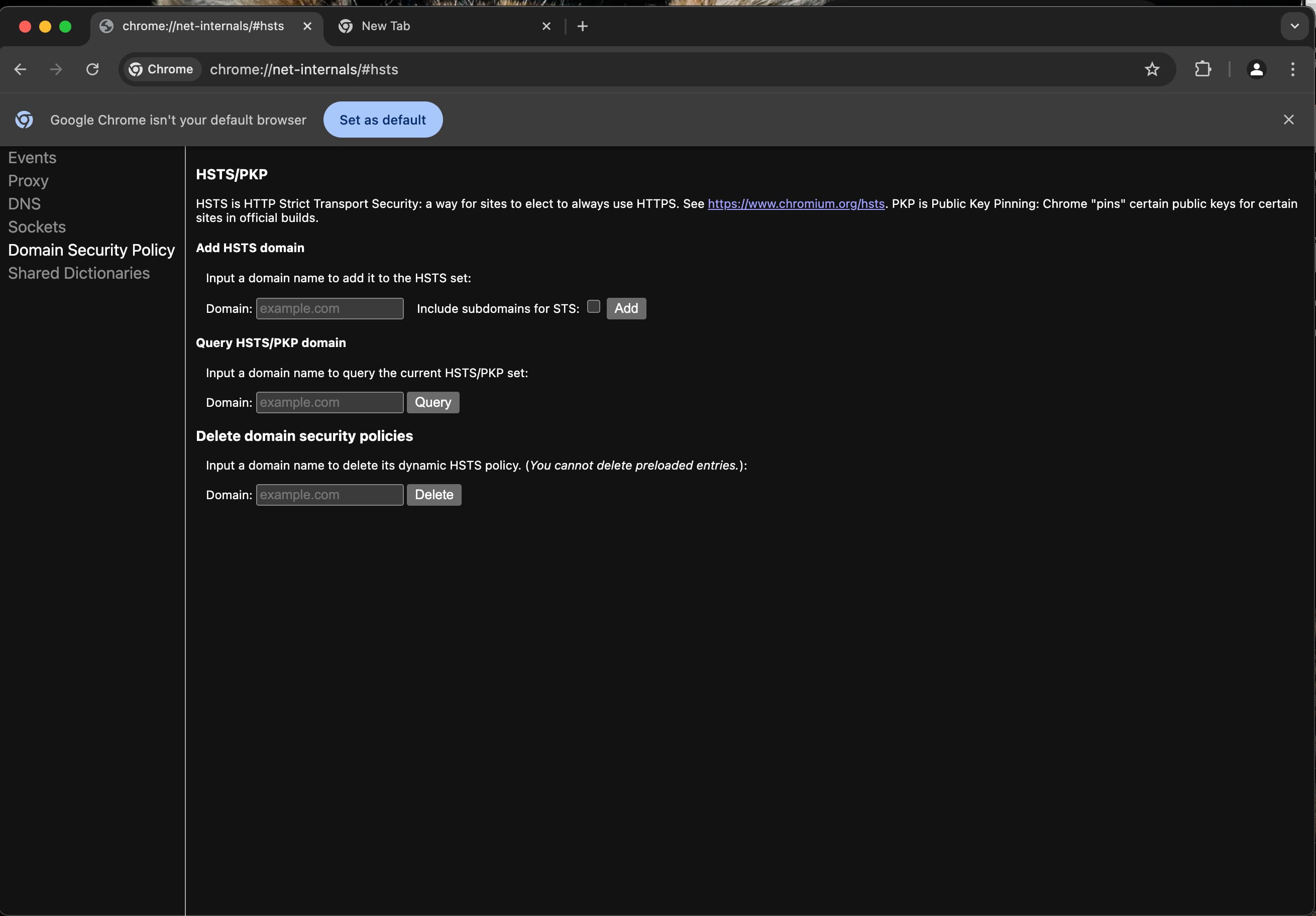 Checking status of HSTS preload list