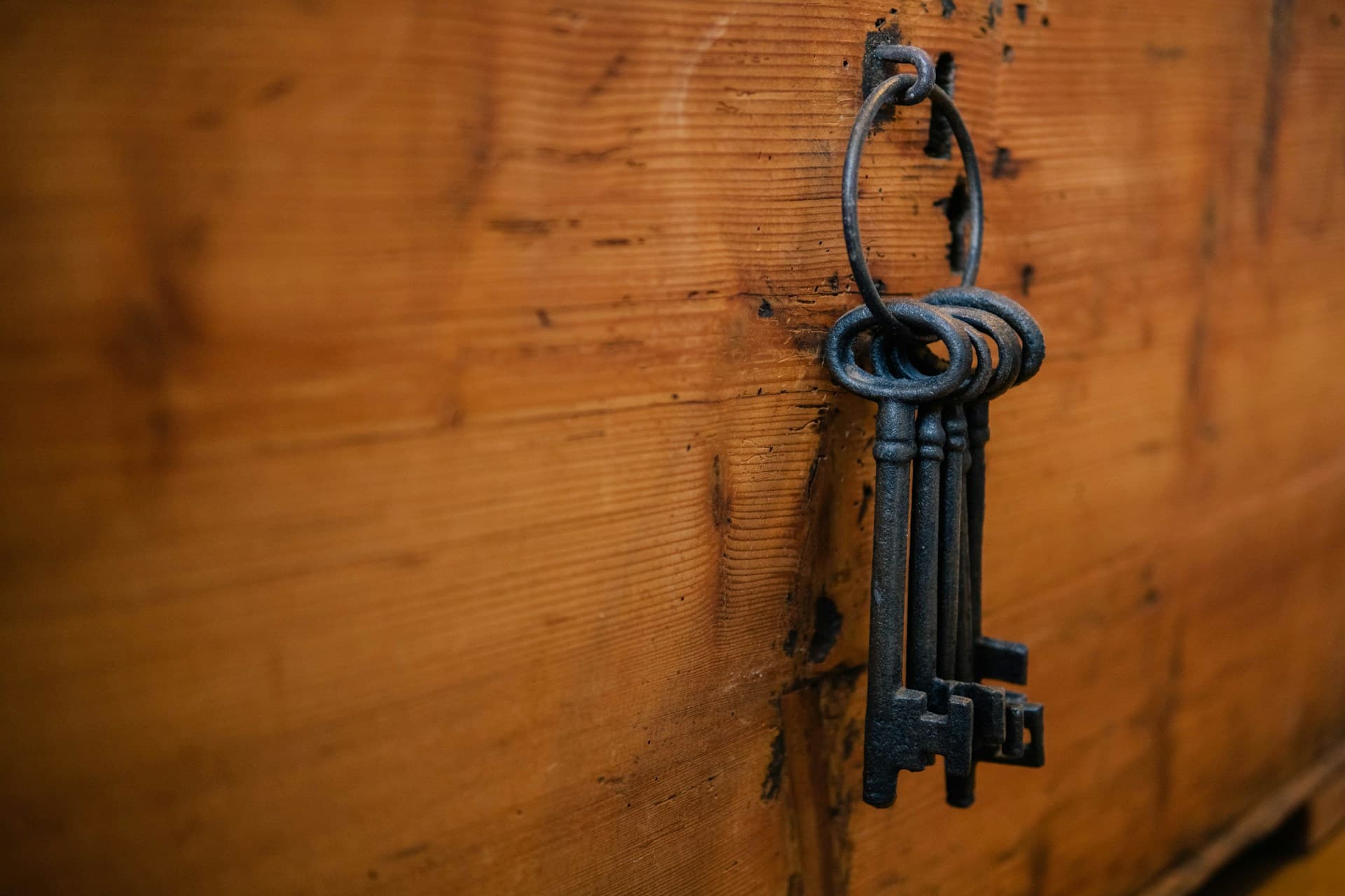 Keys hanging from a keychain