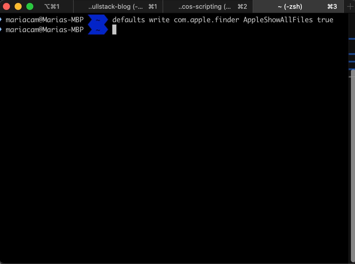 Typing defaults write com.apple.finder AppleShowAllFiles true command in Terminal