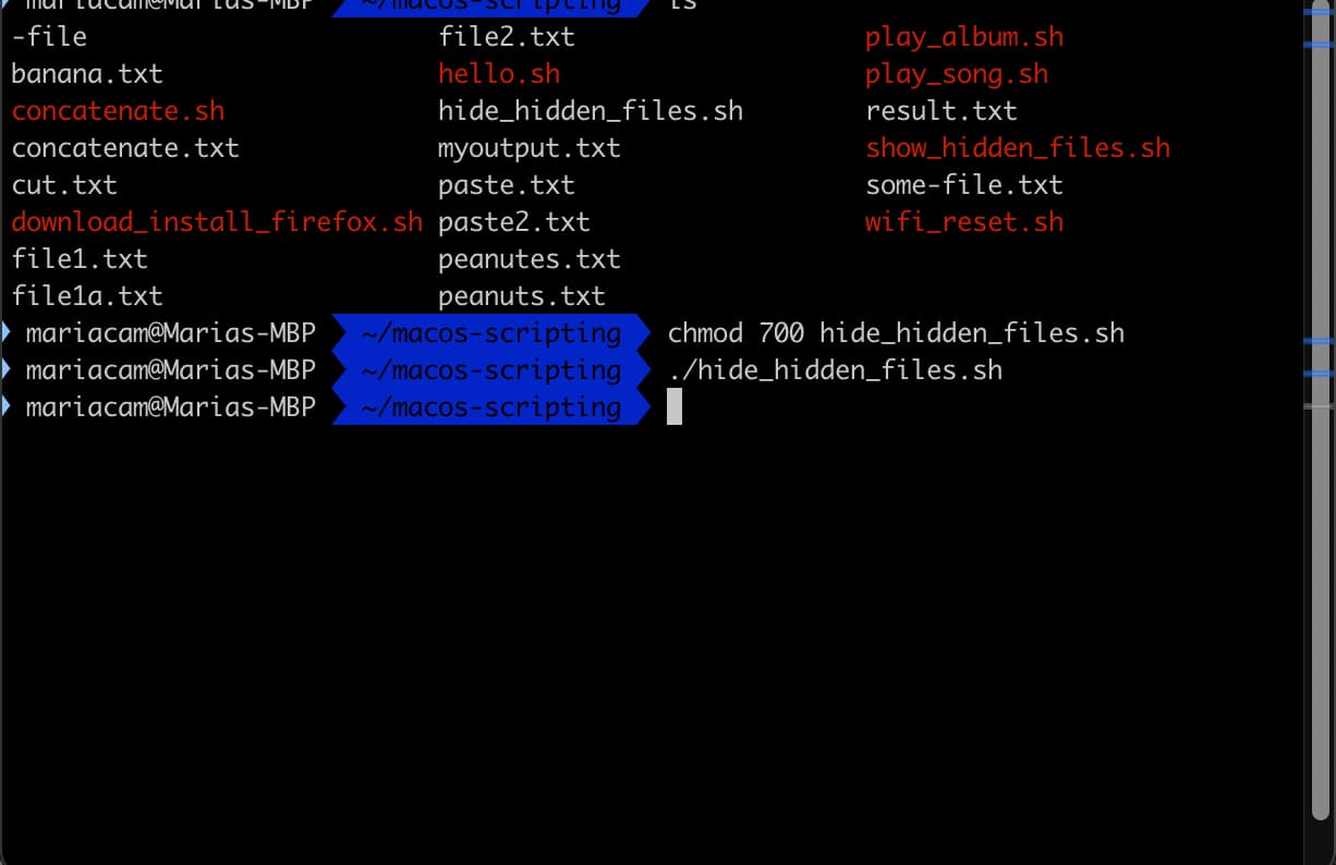 Running the hide_hidden_files.sh shell script in Terminal