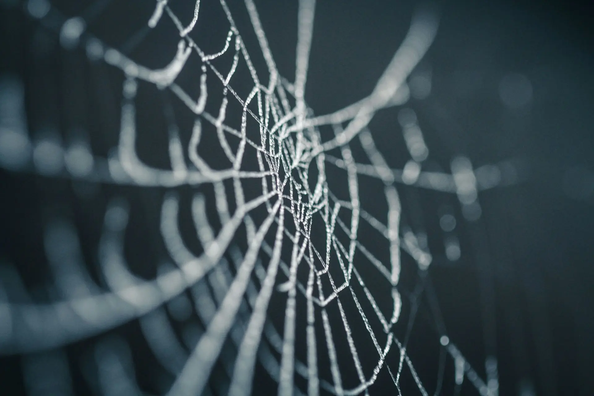 Basic Python Web Server